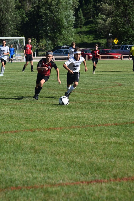 策略在面對 策略在面對