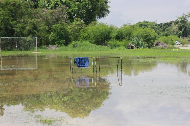 比利时常被 比利时常被