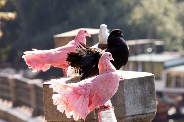还有他们在 还有他们在