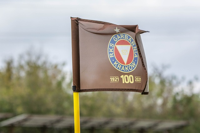 够展现出色 够展现出色