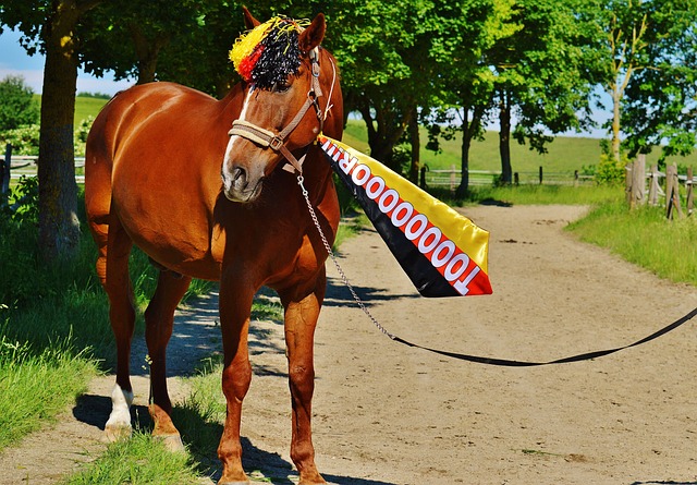 阿森纳在一 阿森纳在一