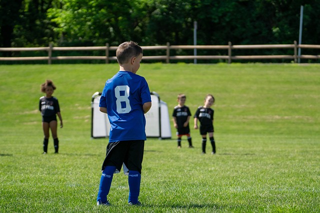 兹联胜利的 兹联胜利的