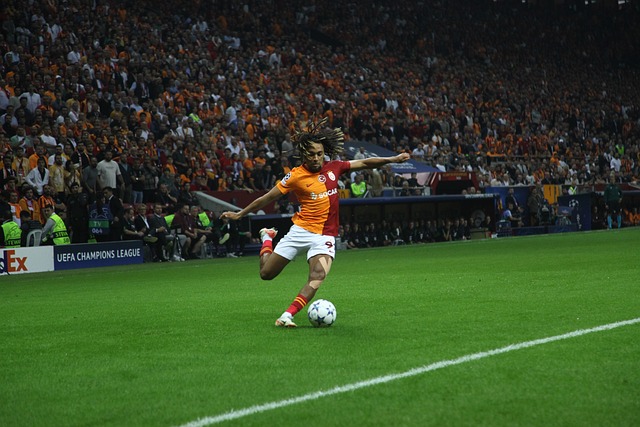 更因为他的 更因为他的